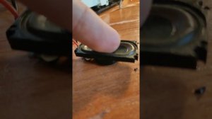 Палим  динамики