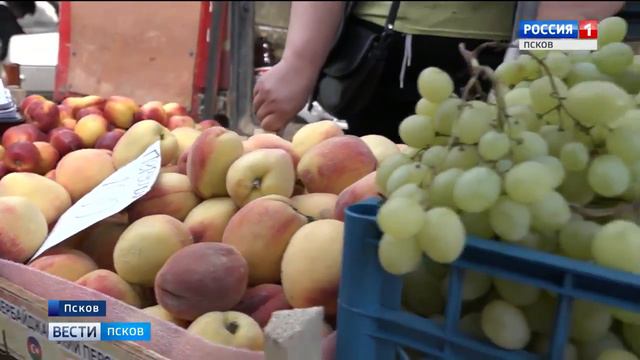 ВВ Пскове прошла проверка уличных торговцев арбузами и дынями смотреть онлайн