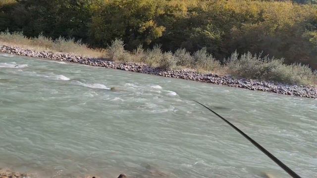 рыбалка в КБР # Trout fishing смотреть онлайн