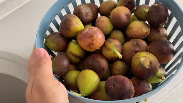 Осенний влог: Готовка/ Покупки/ Ароматы? Хэллоуин ? смотреть онлайн