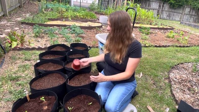 Container Gardening- Planting Grow Bags смотреть онлайн