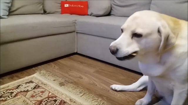 Двойная атака