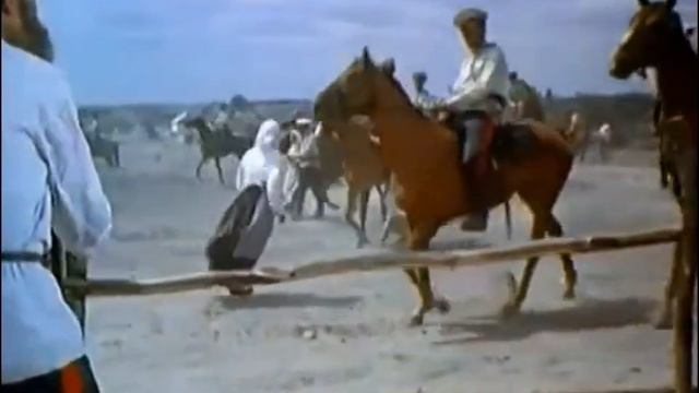 Казачий дон Владимир Хозяенко смотреть онлайн