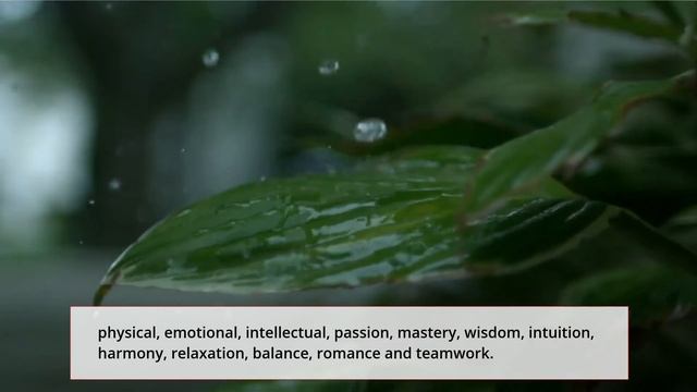 ➤ The Biorhythm Review - Does TheBiorhythm.com Calculator Works? смотреть онлайн