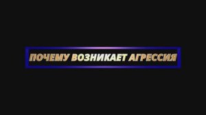 ПОЧЕМУ ВОЗНИКАЕТ АГРЕССИЯ || Родина НВ