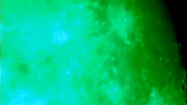 Moon from my Achromatic Refractor #moon #telescope смотреть онлайн