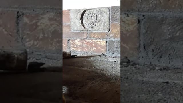 печь каменкаустановка кирпича #печь #барбекю #камин #каменка #кирпич #донские#печь камин# смотреть онлайн