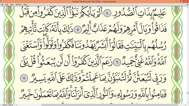 Practice Reciting With Correct Tajweed - Page 556 (Surah At-Taghabun)