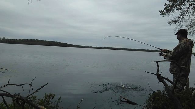 Нетронутые озера Югры 3. Рыбалка в конце июля смотреть онлайн