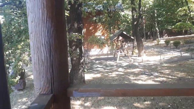 Услад база відпочинку на Дністрі вересень 2019 р. смотреть онлайн