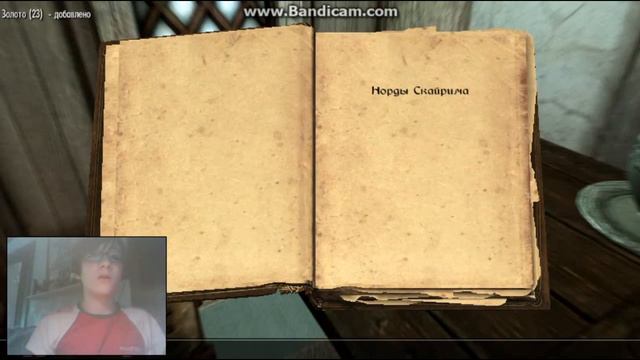 БИБЛИОТЕКАРЬ СО "СТАЛЬНЫМИ" НЕРВАМИ: Skyrim №6 смотреть онлайн