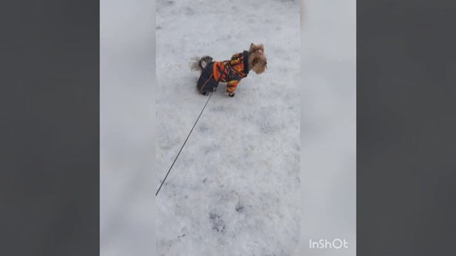 О носках на подтяжках. длинное видео, так получилось... 🤷♀️🧦🧦 смотреть онлайн