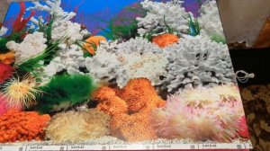 Самый простой способ приклеивание фона на заднюю стенку аквариума.