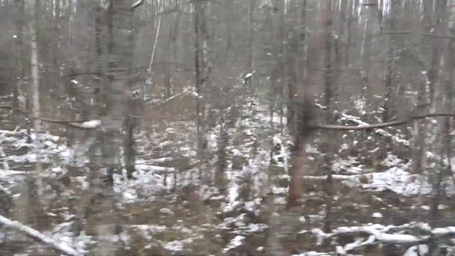 Путешествие по железным дорогам Земцы - Жарковский (самый медленный поезд) смотреть онлайн