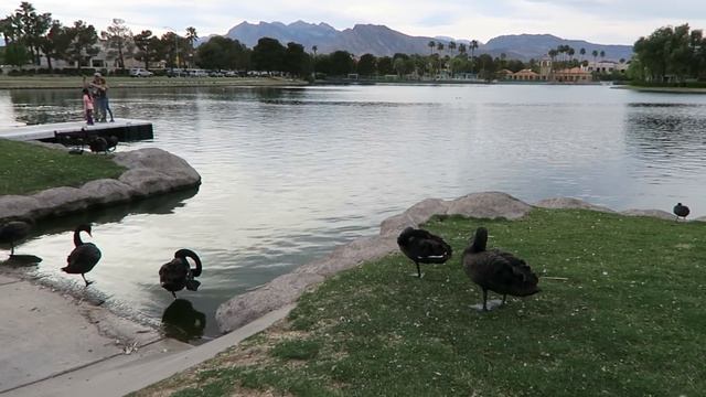 НАС АТАКОВАЛИ! смотреть онлайн