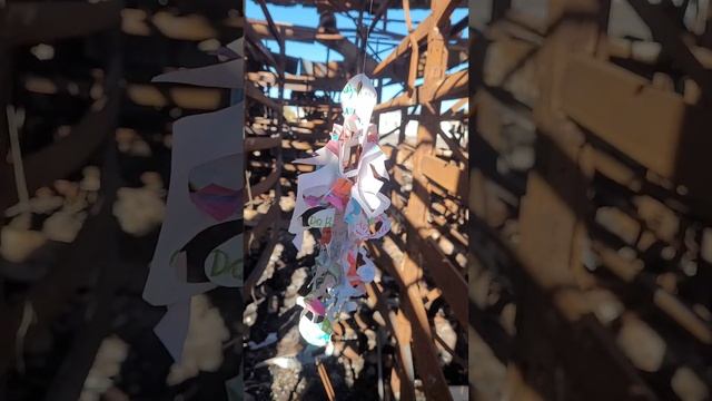 Спелые плоды Девы в белом Строгая дисциплина на уроках Русского Языка #трикино