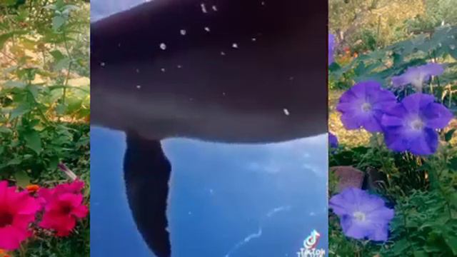 Куда уходят дороги и люди смотреть онлайн