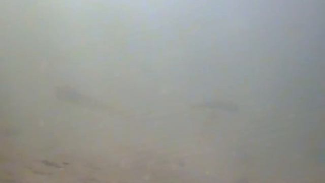 Testfiskeri på Kattegat смотреть онлайн