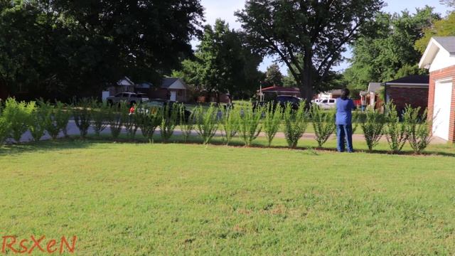 Privet Hedge 1 Year + Light Trimming(2020) Check description for better audio смотреть онлайн