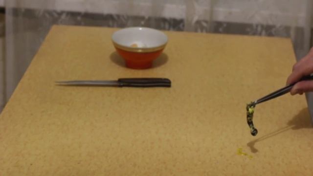 Гомонкул - или как вырастить Гомункула дома смотреть онлайн