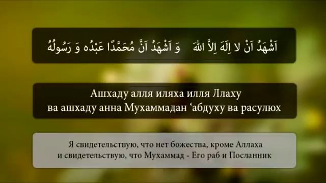 Аттахият - научись читать правильно! смотреть онлайн