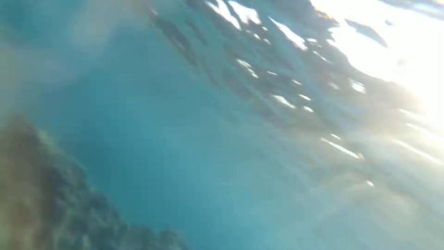 Египет Sharm el sheih,под водой красного моря смотреть онлайн