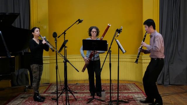 Chiayu Hsu: Voyage for Oboe, Clarinet, and Bassoon / Reed Trio смотреть онлайн