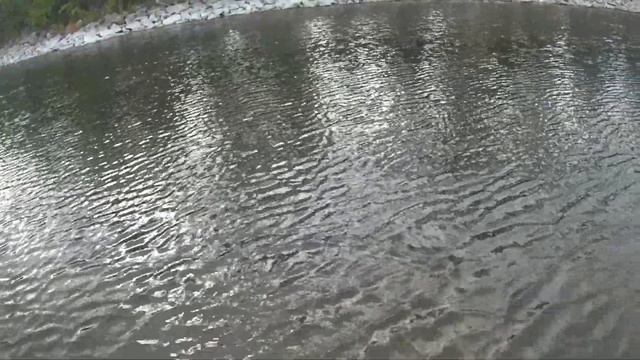 Утро с микро блёснами смотреть онлайн