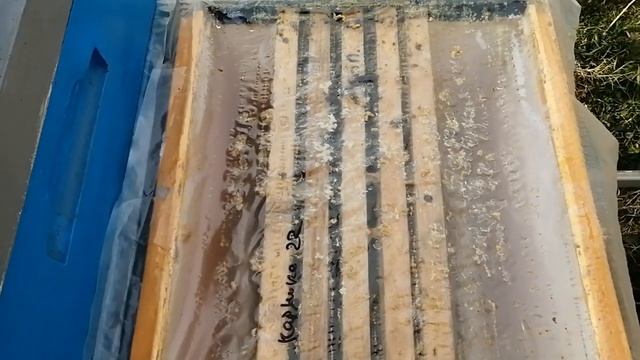 Положил подушку с верху перед морозами-улей ППС дно сетка. смотреть онлайн