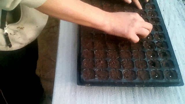 Салат "Айсберг" смотреть онлайн