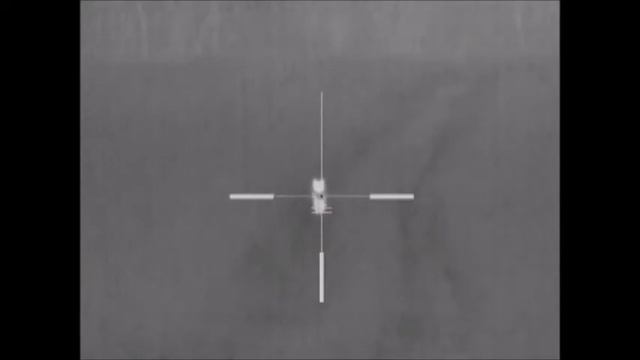 Охота на шакала с тепловизором Pulsar Apex XD75 смотреть онлайн