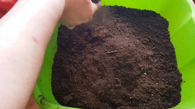 ЛУЧШИЙ ГРУНТ ДЛЯ РАССАДЫ ПЕРЦА, БАКЛАЖАНА,ТОМАТА И ОГУРЦА. смотреть онлайн