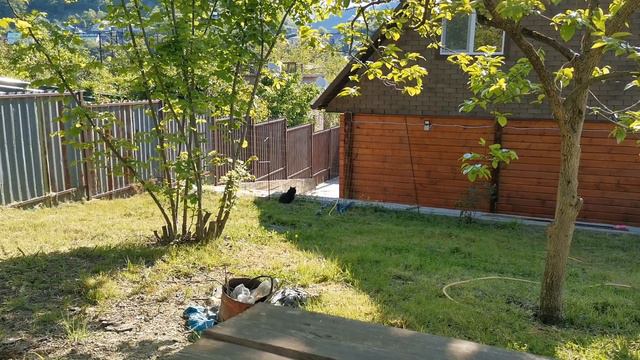 Сочи. Горное Лоо. Утро. 25C. 16.05.2022г.