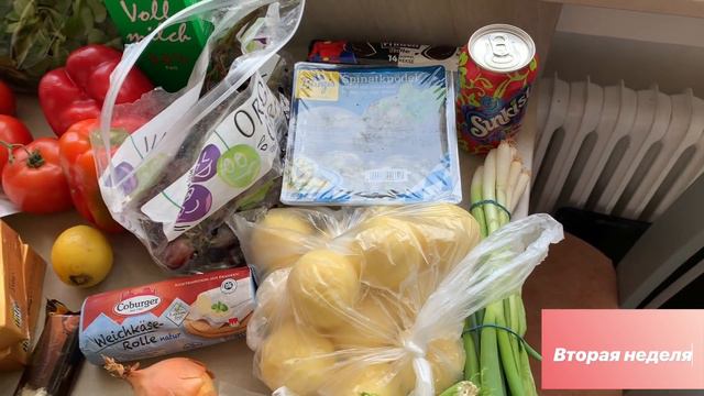 Как прожить неделю на 3 евро, или социальная помощь Германии. Тафель. смотреть онлайн