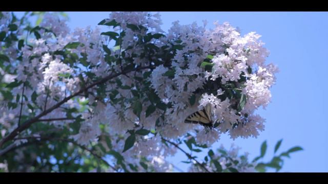 Agape-Nicholas Britell