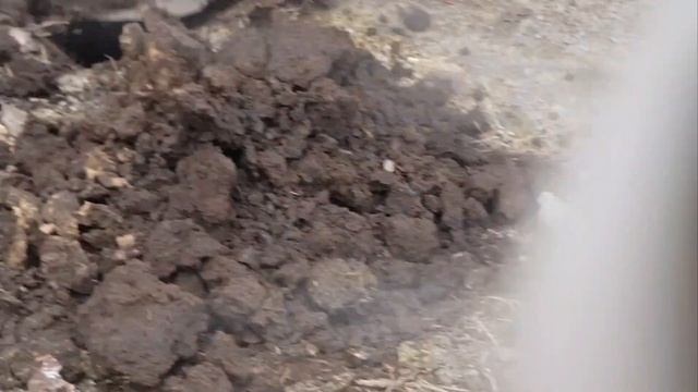 ВСЕ О БОРДЮРАХ В САДУ - КАК ВЫБРАТЬ СРАВНЕНИЕ МАТЕРИАЛОВ смотреть онлайн