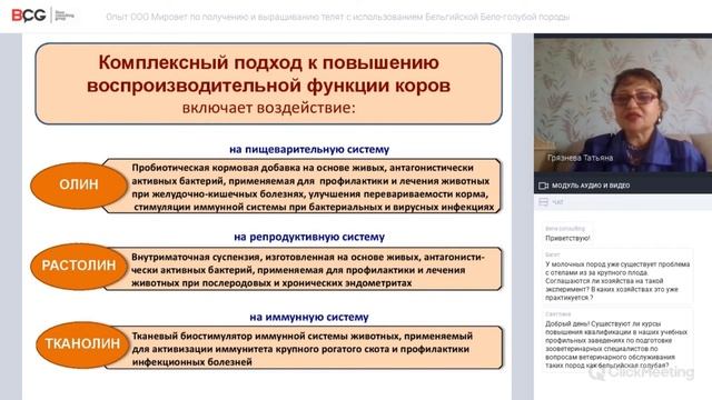 Опыт ООО Мировет по получению и выращиванию телят с использованием Бельгийской Бело голубой породы смотреть онлайн