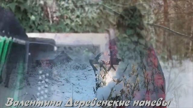 ТЫ ВОШЛА, ОСЫПАНА ПОРОШЕЮ (дворовая песня, видео Валентины Совковой). смотреть онлайн