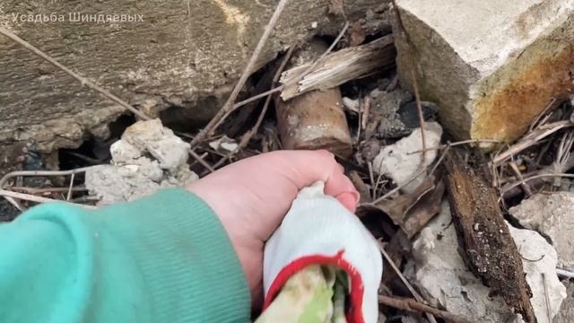 #55 КАРКАС ЗАБОРА/ Участок почти чист смотреть онлайн