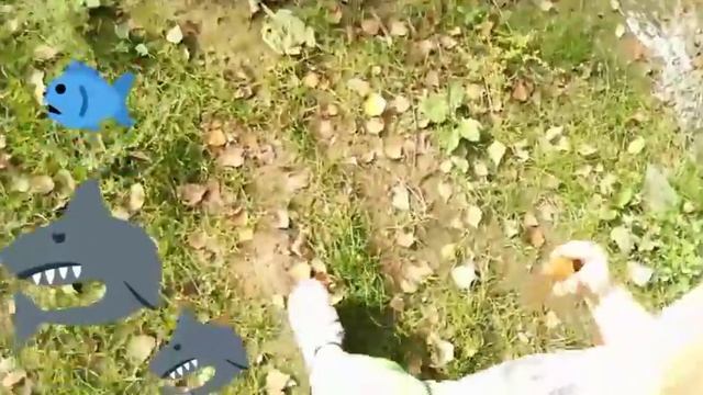 ❀ Акулы гонятся за рыбкой / Веселое видео для детей / Хороший мультик для девочек смотреть онлайн