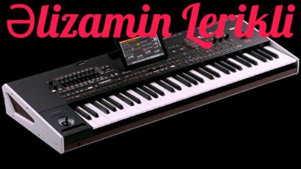 Əlizamin Lerikli 2023