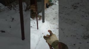 Бетонирование столбов для навеса