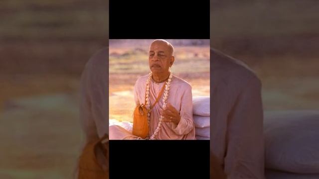 Prabhupada Hare Krishna Mantra Japa Loop смотреть онлайн