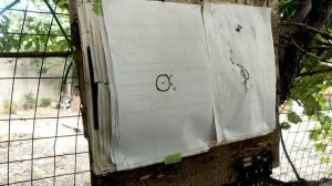 отстрел ретей 70