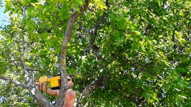 Sony A-58 test video after auto-fix смотреть онлайн