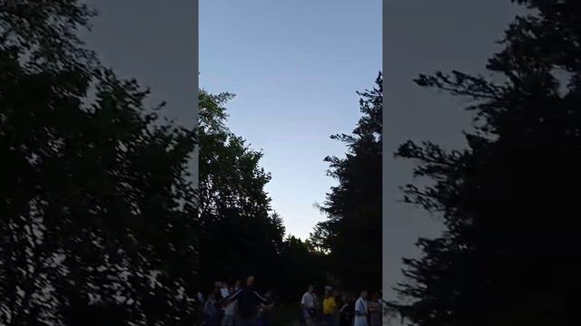 Живая скрипка в парке. смотреть онлайн