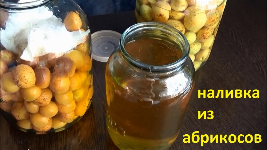 Наливка Южная абрикосовая смотреть онлайн