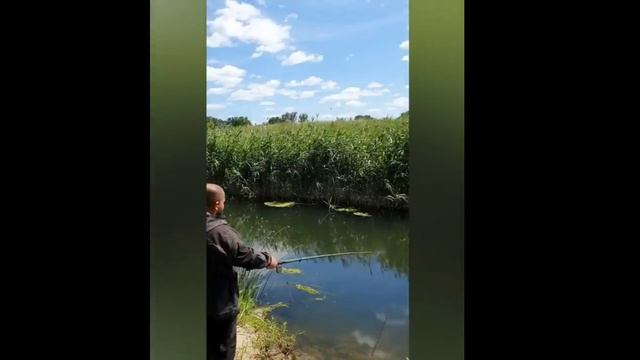 Видео приколы. Ржал до слез