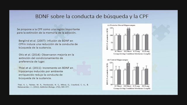 Nuevos tratamientos para los trastornos neuropsiquiátricos смотреть онлайн