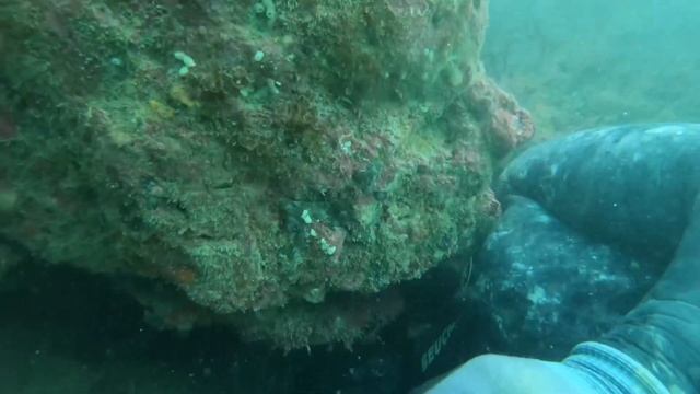 KINA GOLD LOVE - SOLO KAYAK MISSION смотреть онлайн